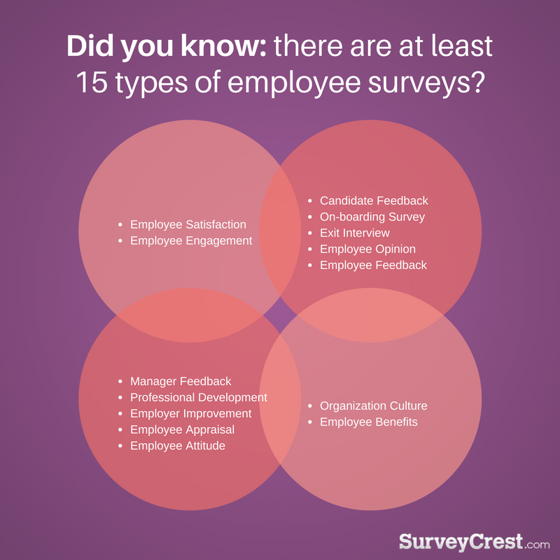 What Not To Ask In Your Employee Engagement Survey 