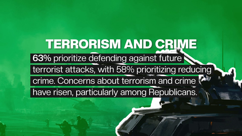 Terrorism and Crime